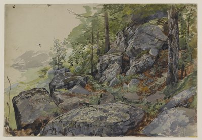 Woodland Boulders, c.1877-78 by William Trost Richards